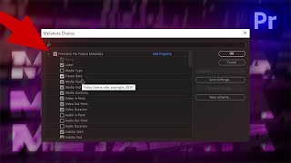 Organizing Tips in Premiere Pro! (Metadata Explained)