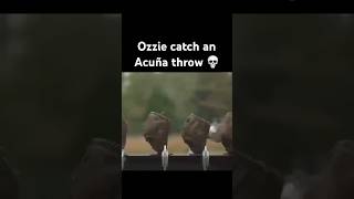 ozzie’s glove every time 💀