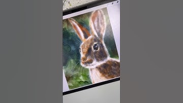 Drawing in Procreate - Digital Watercolor Rabbit #shorts #procreate #drawing #watercolor #wetonwet