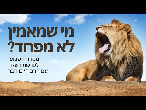 תצוגה מקדימה: מי שמאמין לא מפחד? מסרון השבוע לפרשת וישלח עם הרב חיים הבר