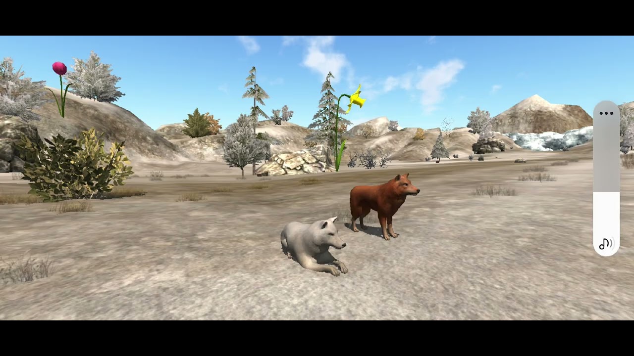 if wolves see a turkey The Wolf #thewolfgameplay - YouTube