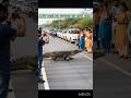 “Highway Pe Crocodile? Rajasthan Incident”😱#viral# #fact