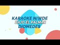 Bajo el palmar (karaoke Diomedes Diaz)