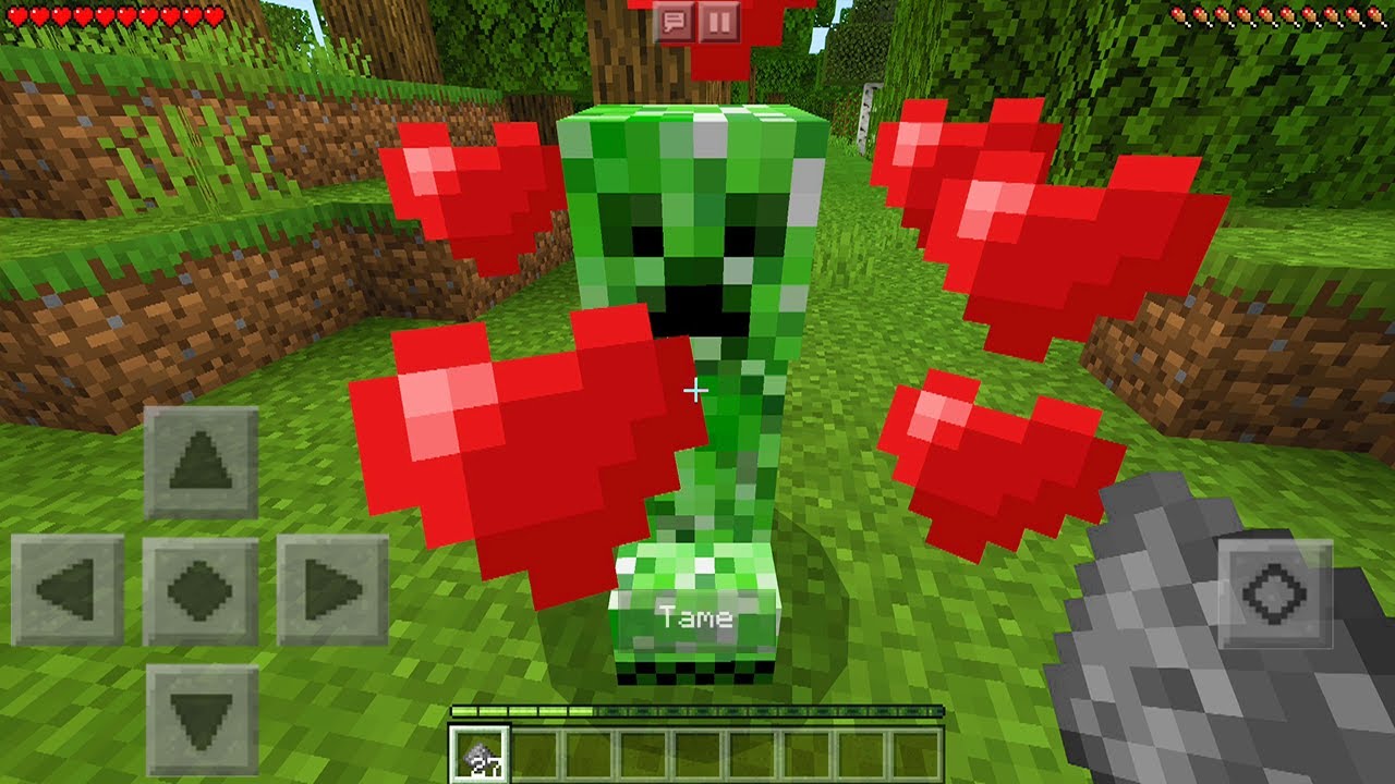 The Minecraft Creepers You've Never Seen