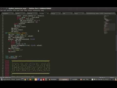 Torchlight 2 Money cheat [Memory editing with python]