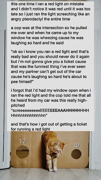 That screech saved me $300 fine.
