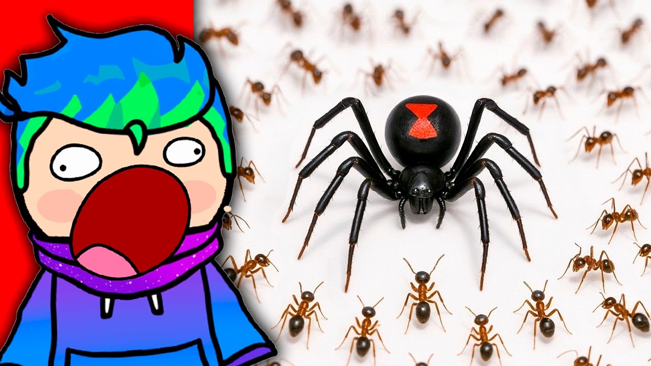 1,000 Hormigas vs. Viuda Negra