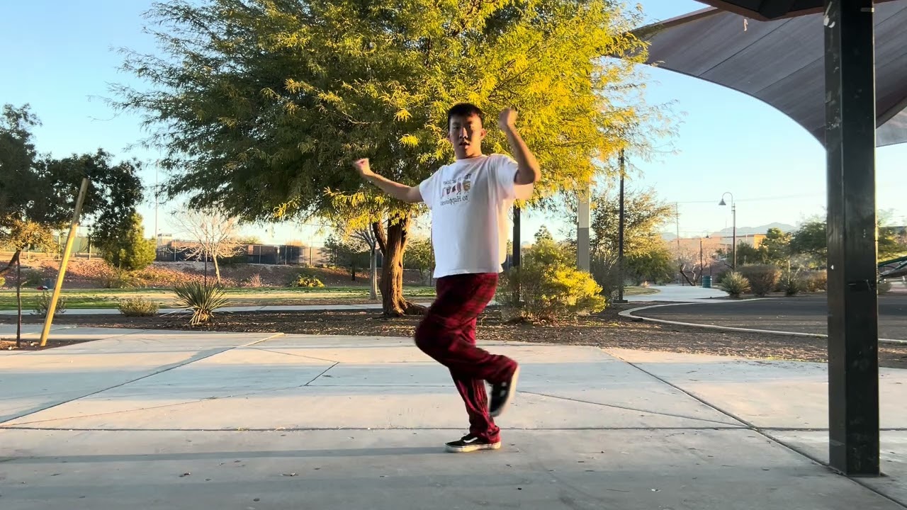 ハッピートラップを踊ってみた