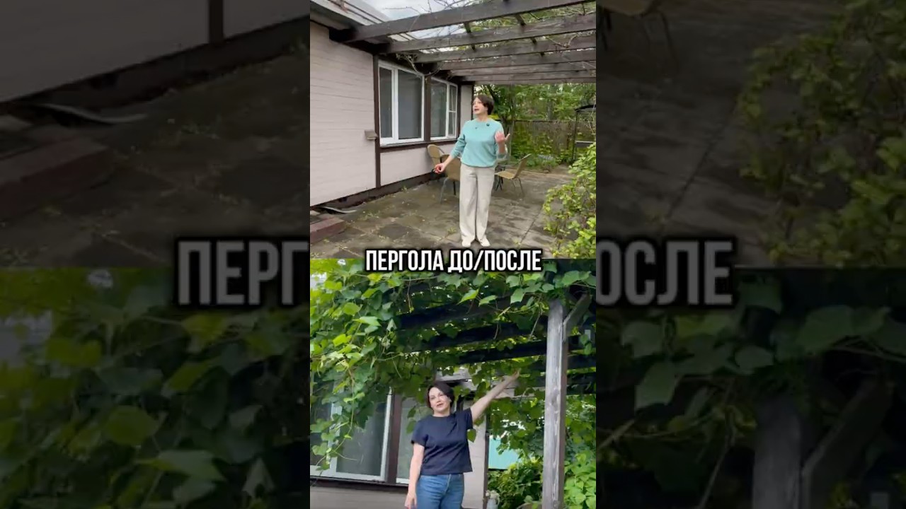 Пергола до и после