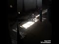 ال ــغ ز ال ال ش ــار د