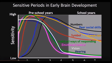 PTE Speaking - Retell Lecture Early Child Development