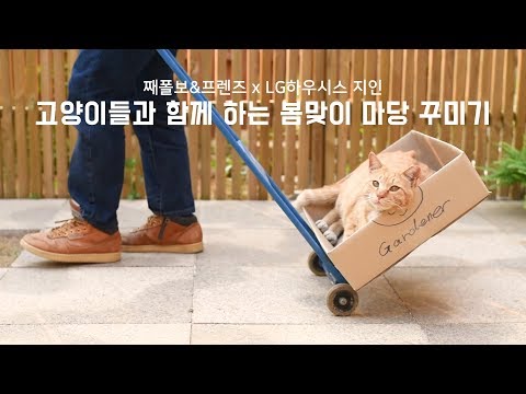 고양이들과 함께 하는 봄맞이 마당 꾸미기 / 째폴보&amp;amp;프렌즈 x LG하우시스지인