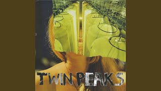 Miniatura del video "Twin Peaks - Boomers"