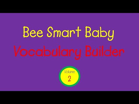 Bee Smart Baby - Vocabulary Builder: Vol. 2 (1999)