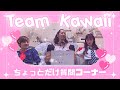 Team Kawaii 〜 ちょっとだけ質問コーナー 〜