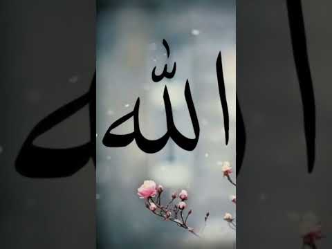 I love Allah ❤️ #islamicshorts #allahuakbar