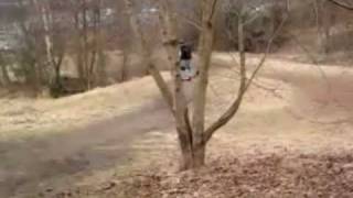 Michaels St Magdalenes Hill Solo.wmv