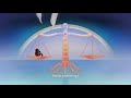 The Existential Trap of the Soul Prison | Best of The Midnight Gospel