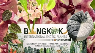 Traveling for Hoyas and the Bangkok International Exotic Plant Sale  Part 1 #hoyas #houseplants