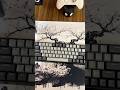 AULA WIN68 HE Pro in Nepal — ASMR, Would you type on this?Available at Rapido Tech Nepal.