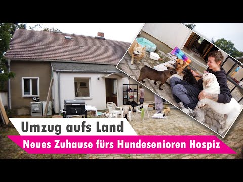 Umzug aufs Land mit Stevies Hundesenioren Hospiz ? Neues Domizil ?