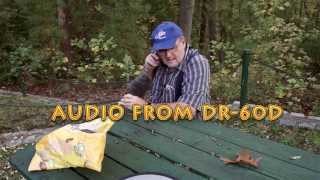 Tascam DR 60D vs SONY A7S Audio Comparison by Tvnewsbadge