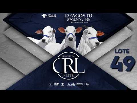 LOTE 49   NCRL 901