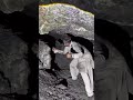 underground black Diamond mining# blackdiamond#coalmining#virl short video