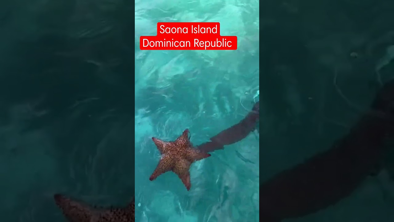 Saona Island Dominican Republic.
