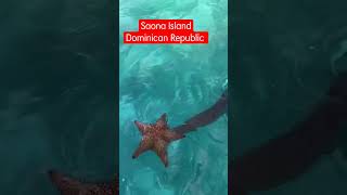 Saona Island Dominican Republic.