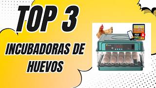 The 3 most affordable egg incubators you can buy on Amazon [2024] ✅