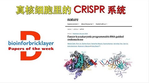 【文獻精選｜EP06】真核細胞的 CRISPR 系統 - 天天要聞