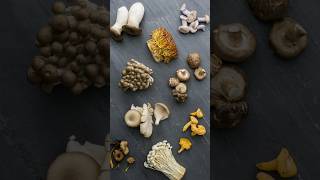 How many kinds of mushrooms are there and how many kinds do people eat?