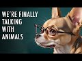 AI and Animal Communication Quiz
