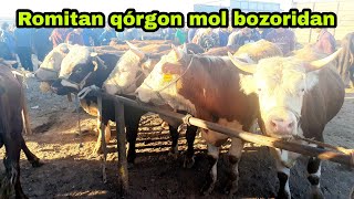 Romitan Qo'rg'on mol bozori buqalar narxlari 2/06/2022