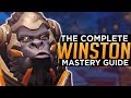 Overwatch: The COMPLETE Winston Mastery Guide