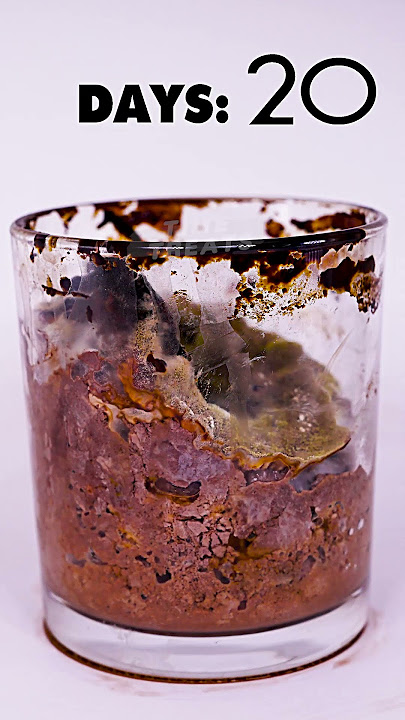 Download lagu How to Pimp your Chocolate Drink ☕