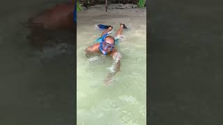 Snorkeling Fun in Shallow Water with a Snorkel#snorkeling #beachlife #waterfun