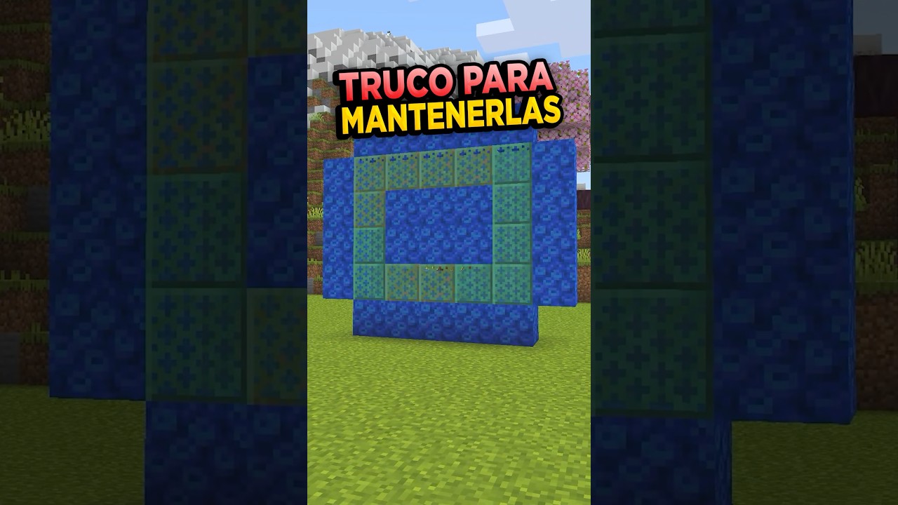 Mantén a tus CORALES VIVOS