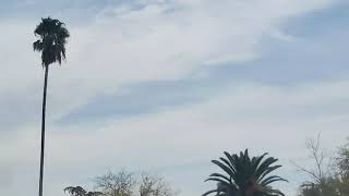 High Clouds Partly Cloudy And Light North Breeze 11:56am November 24, 2019
