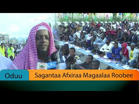 Sagantaa Afxiraa Magaalaa Roobee