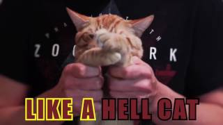 DUBSTEP CAT 3