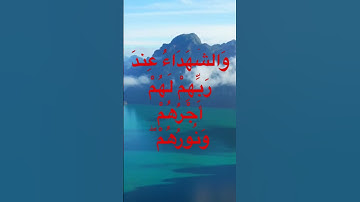 #تلاوات #تلاوة #قرآن #مصر #لايك #الجزائر #اكسبلور #مصر #ترند #duet #تيك_توك