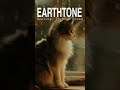 Relaxing music - When the Cat Stays, So Do You 🐱 Gentle Lo Fi for Lonely Nights