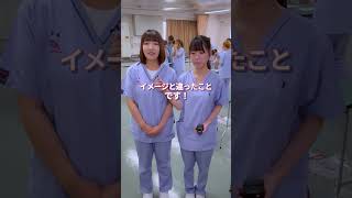 動物看護学科の1年生にインタビュー🎤✨【東京愛犬専門学校】#shorts