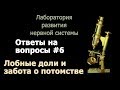 С.В. Савельев - Лобные доли и забота о потомстве