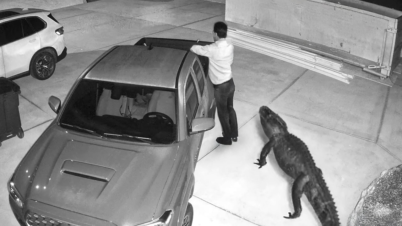 200 COSAS INCREÍBLES CAPTADAS POR LAS CÁMARAS. LO MEJOR DEL MES