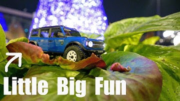 Axial SCX30 Review - I Can