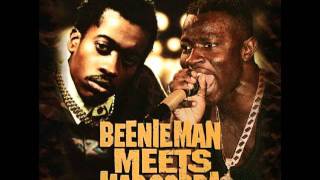 Beenie Man-Once a year