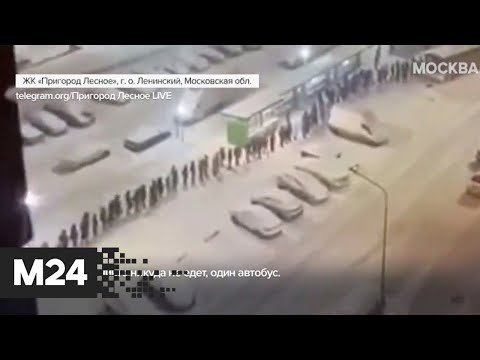 Жители одного из ЖК в Подмосковье выстроились в огромную очередь на автобус - Москва 24